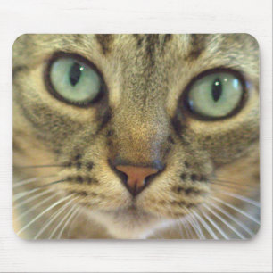 Mousepad Fim da cara do gato de gato malhado acima