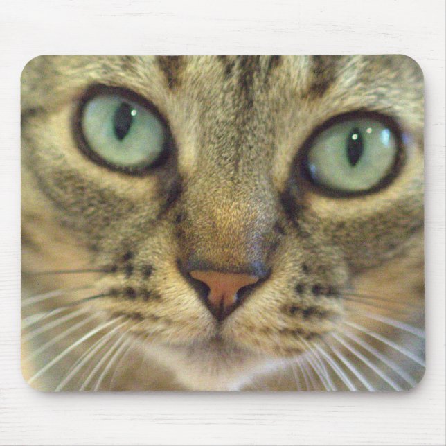 Mousepad Fim da cara do gato de gato malhado acima (Frente)
