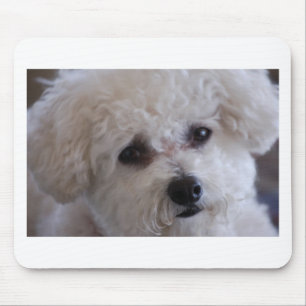 Mousepad Fim de Bichon acima
