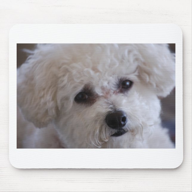 Mousepad Fim de Bichon acima (Frente)