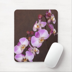 Mousepad Fim violeta e branco da orquídea acima da