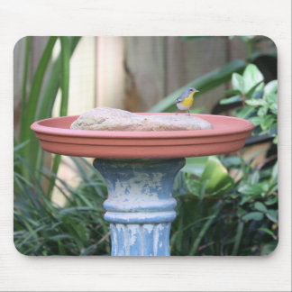 Mousepad Finch Amarelo no Banho-de-Nascimento