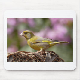 Mousepad Finch Verde