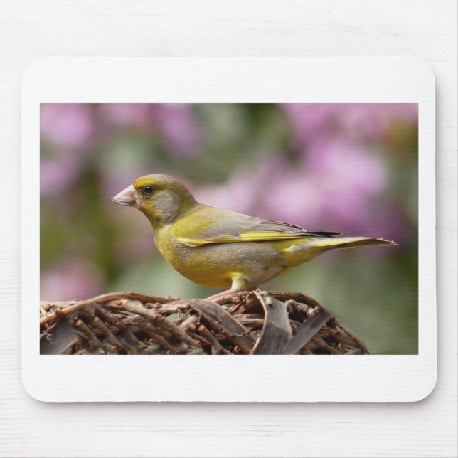 Mousepad Finch Verde (Frente)