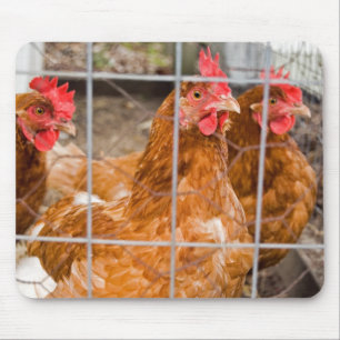 Mousepad Fio de galinha