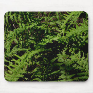 Mousepad Fios de Floresta