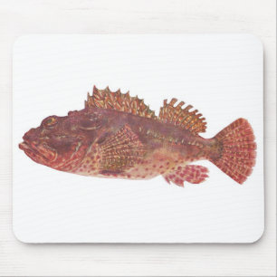 Mousepad Fish - Red Rock Cod - Scorpaena cardinalis