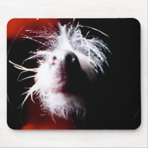 Mousepad Fisheye com crista chinês
