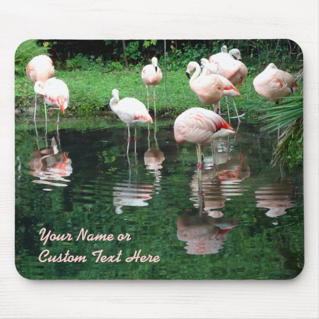 Mousepad Flamboyance do flamingo (Frente)