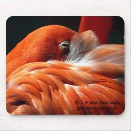 Mousepad Flamingo