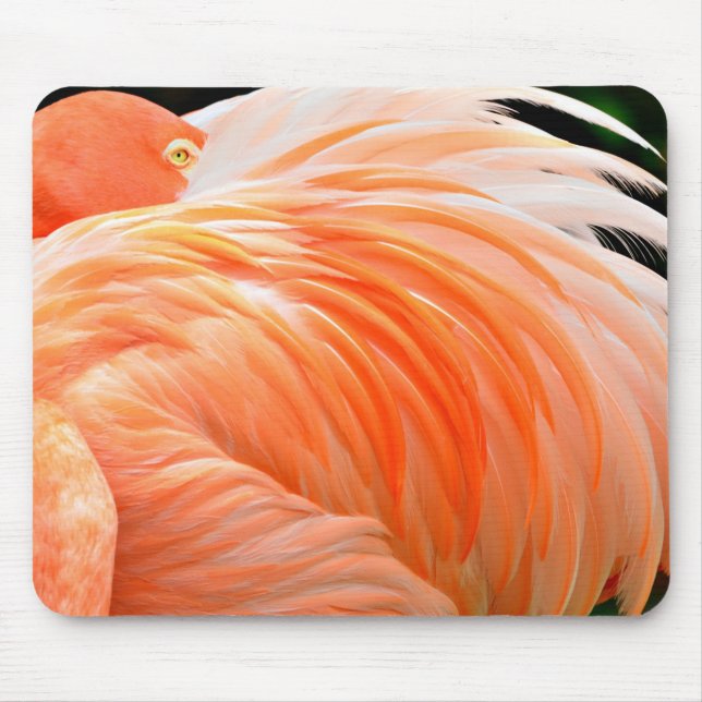 Mousepad Flamingo 1 (Frente)