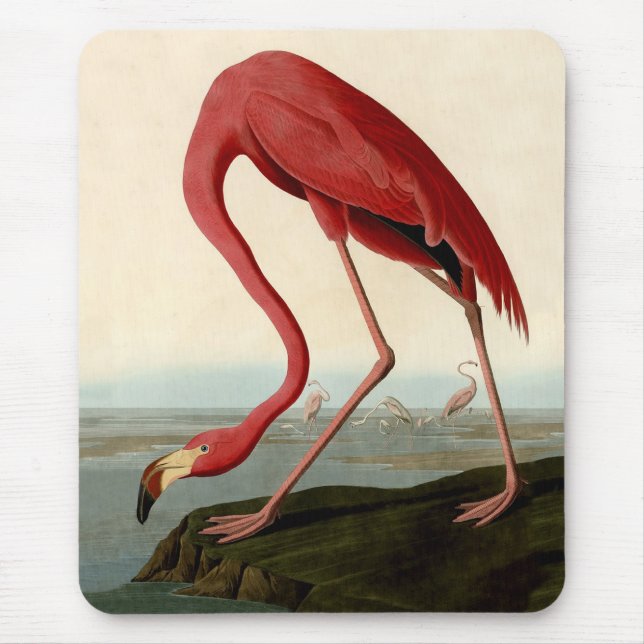 Mousepad Flamingo Americano de Audubon (Frente)