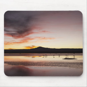 Mousepad Flamingo Chileno