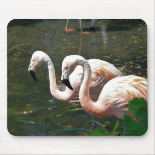 Mousepad Flamingo numa lagoa com árvore verde