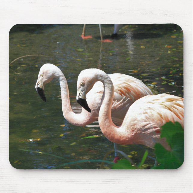 Mousepad Flamingo numa lagoa com árvore verde (Frente)
