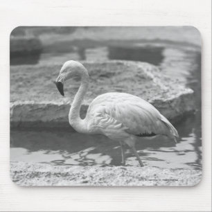 Mousepad Flamingo que vadeia na água B&W