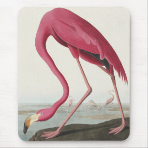 Mousepad Flamingo rosa das aves da América