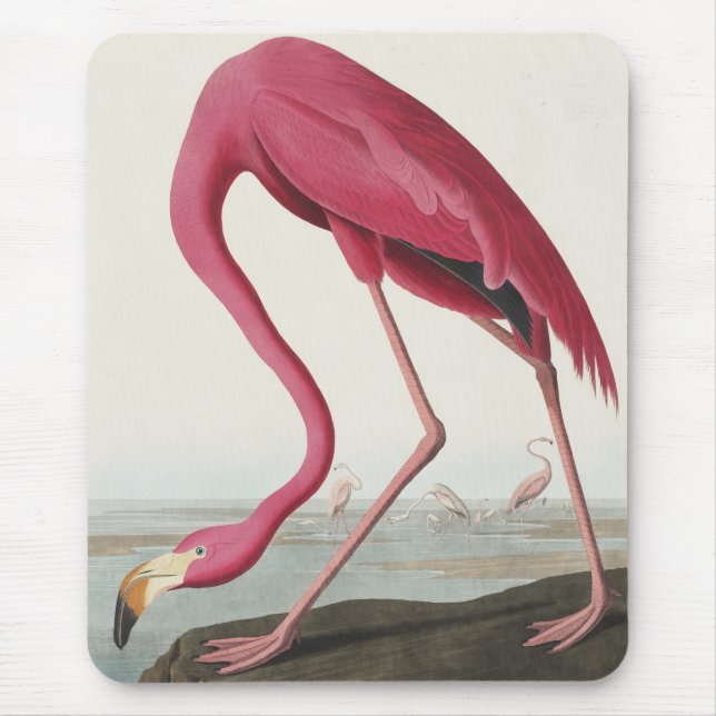 Mousepad Flamingo rosa das aves da América (Frente)