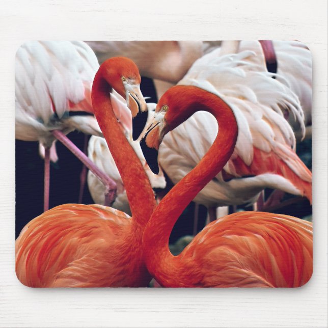 Mousepad Flamingo rosa na natureza (Frente)