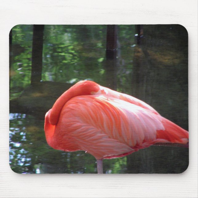 Mousepad Flamingo Snoozing (Frente)