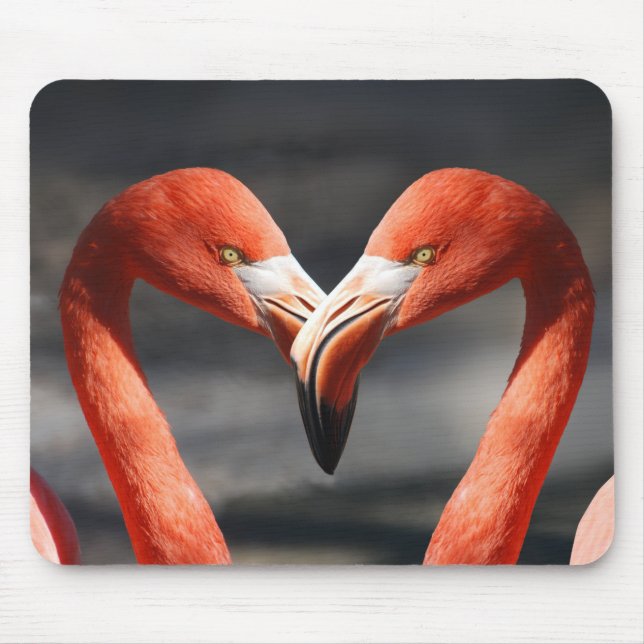 Mousepad Flamingoes no Amor (Frente)