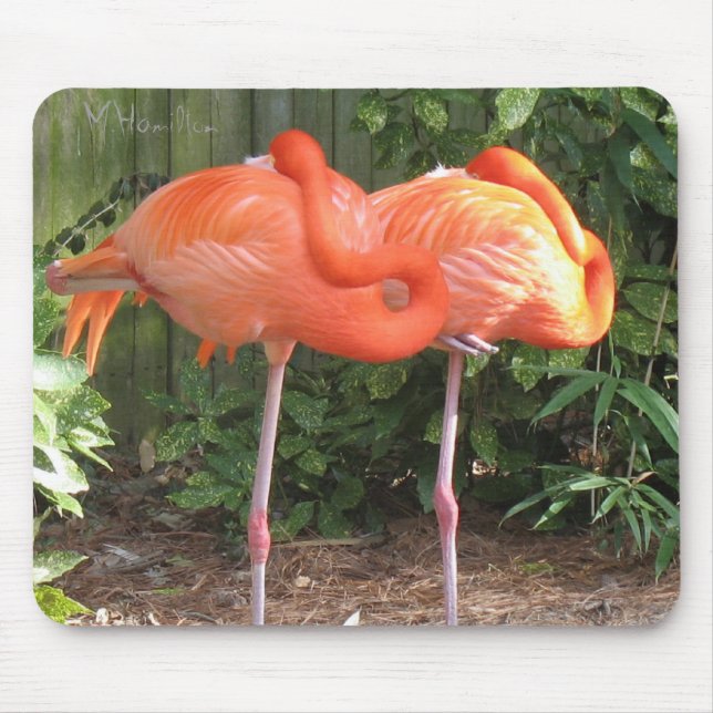 Mousepad Flamingos (Frente)