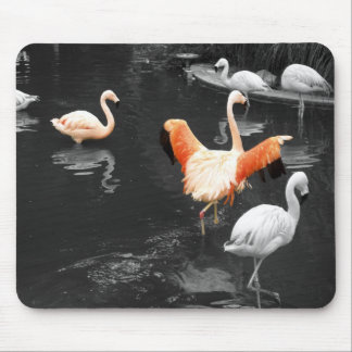 Mousepad Flamingos