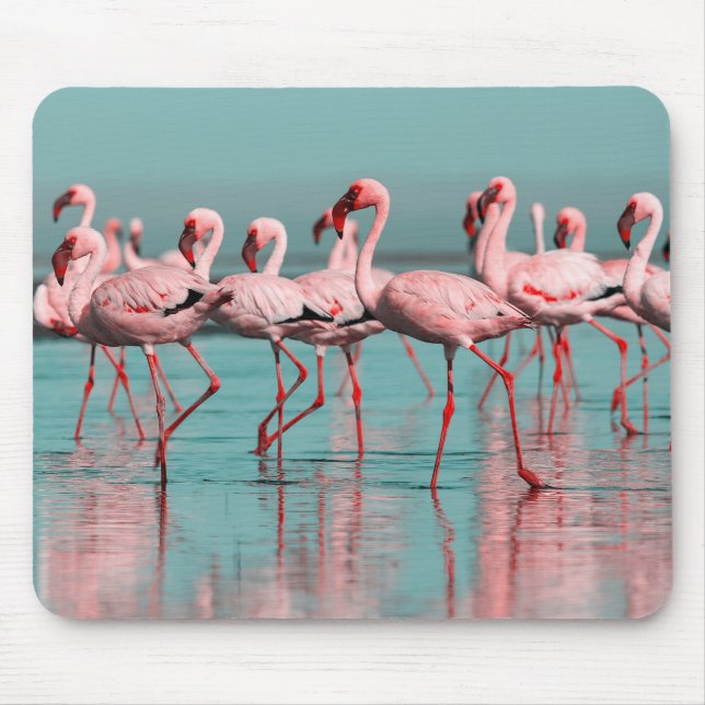 Mousepad flamingos selvagens africanos (Frente)