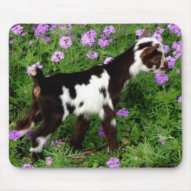 Mousepad Flashy Nigerian Dwarf Goat Kid em flores roxas (Frente)