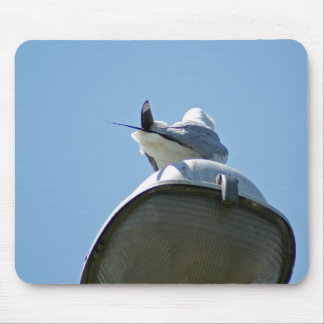 Mousepad Flickr DSC08615