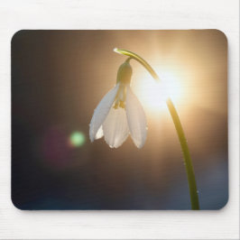 Mousepad Floco de Neve com Gotículas de Orvalho à Luz do So