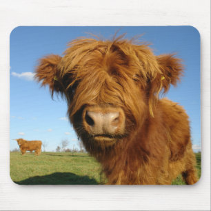 Mousepad Floffy Scottish Highland Cow - Blue Sky