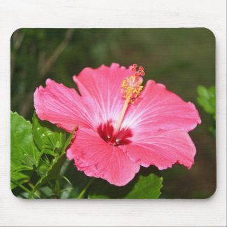 Mousepad Flor