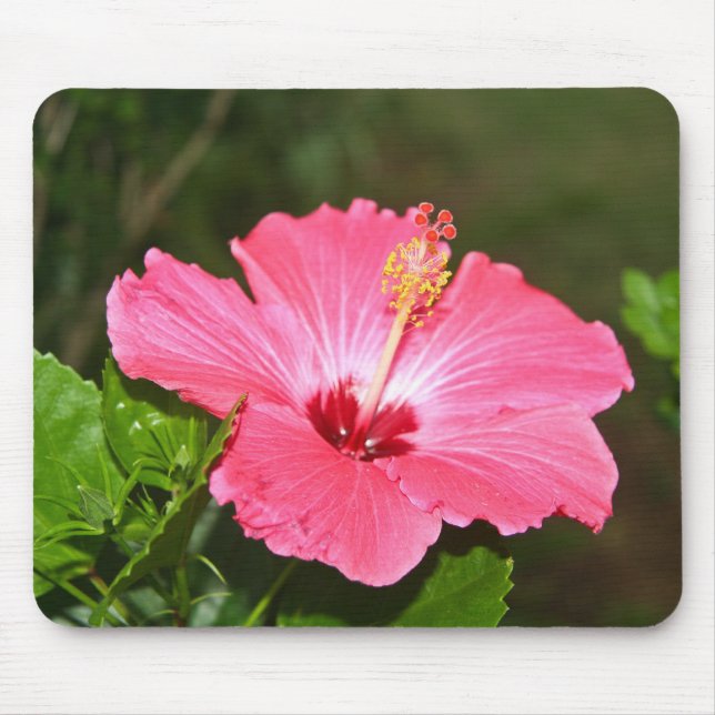 Mousepad Flor (Frente)