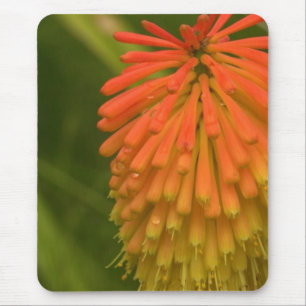 Mousepad Flor alaranjada