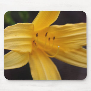 Mousepad flor amarela