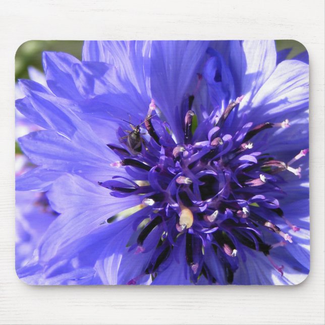 Mousepad Flor azul (Frente)