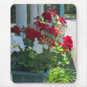 Mousepad Flor Box Geraniums - Martha's Vineyard