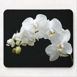Mousepad Flor branca da orquídea
