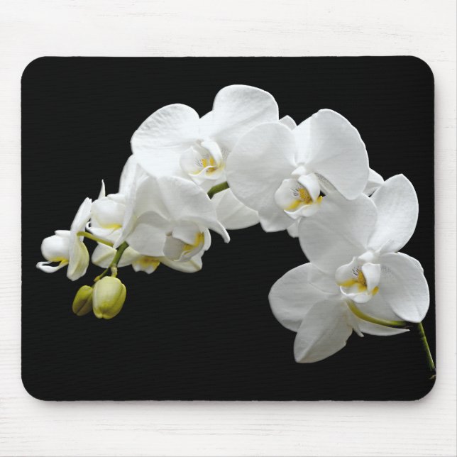 Mousepad Flor branca da orquídea (Frente)