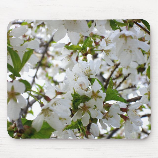 Mousepad Flor branco Elegante Flor-branco (Frente)