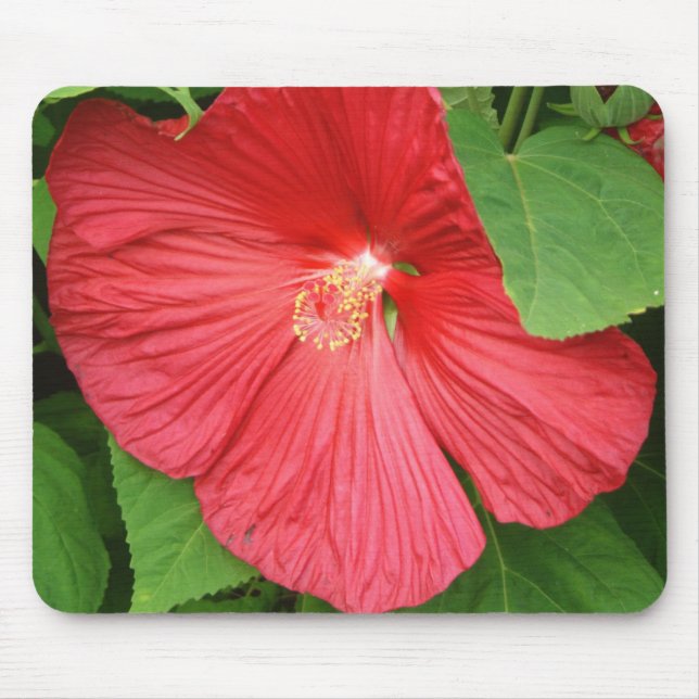 Mousepad Flor Brilhante Magenta Hibiscus Floral (Frente)