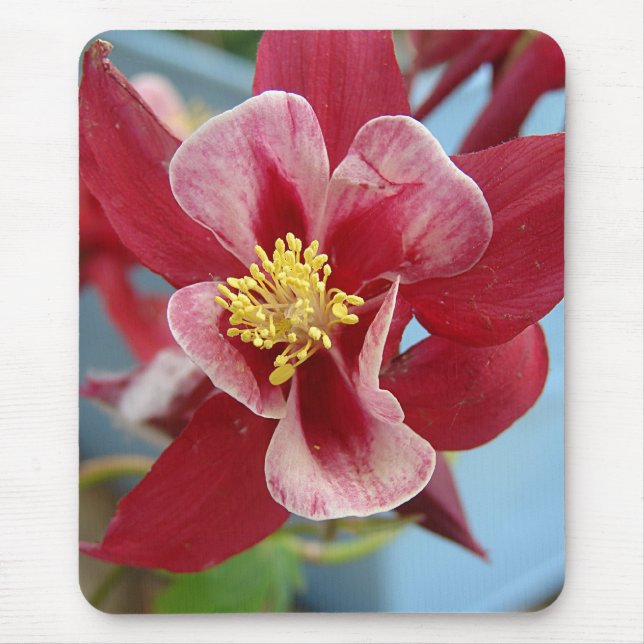 Mousepad Flor Columbina (Frente)