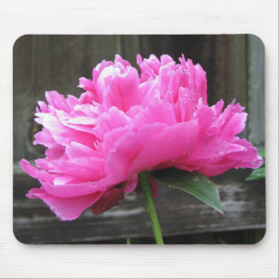 Mousepad Flor cor-de-rosa da peônia