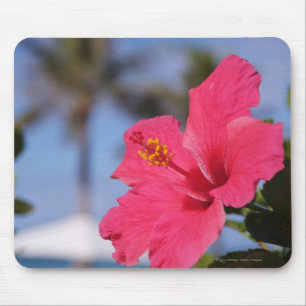 Mousepad Flor cor-de-rosa do hibiscus