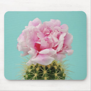 Mousepad Flor cor-de-rosa sobre o cacto Spiky