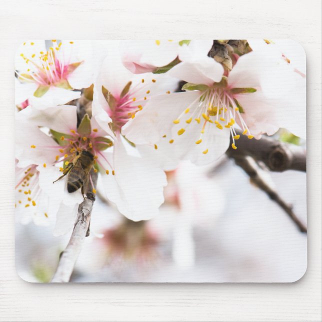 Mousepad Flor da amêndoa (Frente)