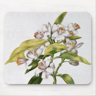 Mousepad Flor da árvore alaranjada, 'de La Guirlande de