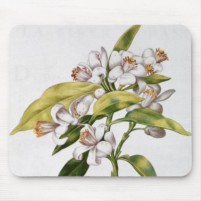 Mousepad Flor da árvore alaranjada, 'de La Guirlande de (Frente)