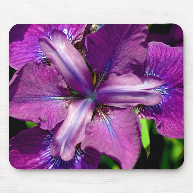 Mousepad Flor da íris púrpura (Frente)